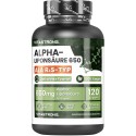 ALPHA LIPOIC ACID 650