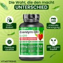 COENZYM Q10