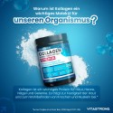 COLLAGEN HYDROLYSIERTE
