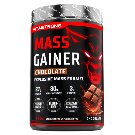 MASS GAINER