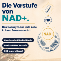 NAD+
