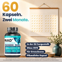 NAD+