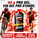 CARBO GEL 2:1