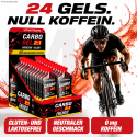 CARBO GEL 2:1
