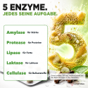 DIGESTION ENZYMES